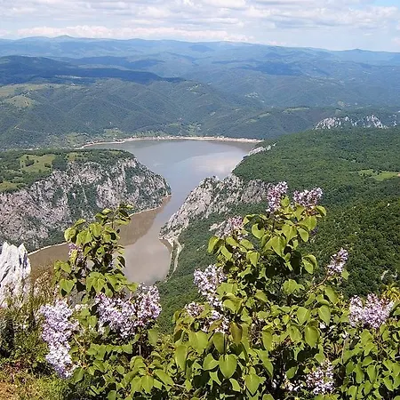 Atrijum And ゲストハウス 4*